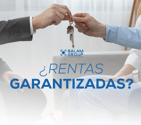 Descubre nuestro nuevo artículo del blog