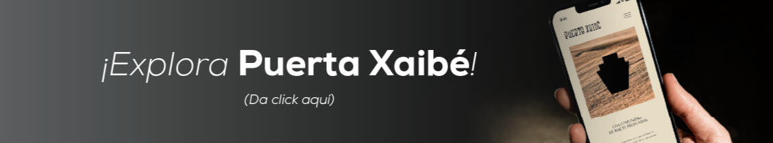 PUERTA XAIBÉ EN MÉRIDA YUCATÁN BALAM GROUP